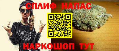 Альфа ПВП Пыть-Ях