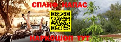 скорость Пугачёв